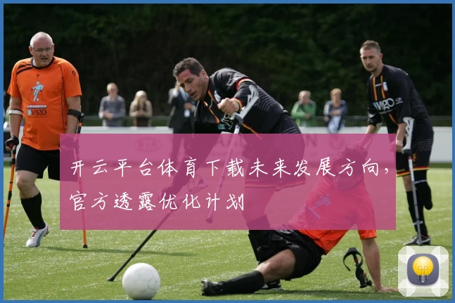 开云平台体育下载未来发展方向,官方透露优化计划