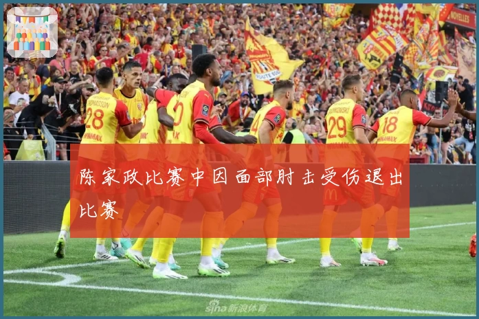 陈家政比赛中因面部肘击受伤退出比赛