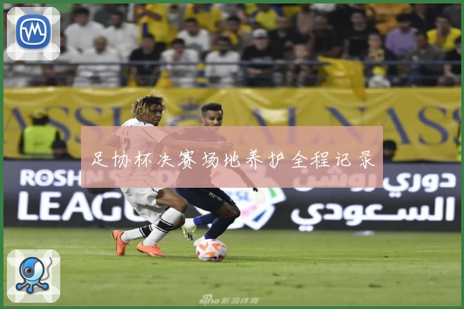 足协杯决赛场地养护全程记录